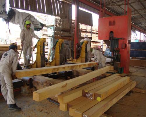 saw-mill3